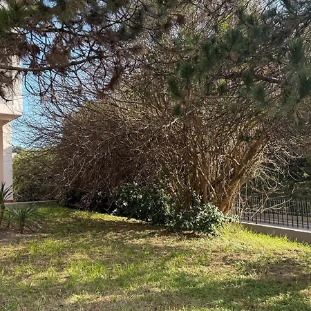 S077 - Sirolo, Trilocale Con Giardino In Centro